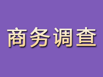 边坝商务调查