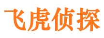 边坝市侦探调查公司